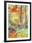 New England Fall Color Impressions-Vincent James-Framed Photographic Print