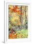 New England Fall Color Impressions-Vincent James-Framed Photographic Print