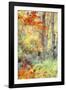 New England Fall Color Impressions-Vincent James-Framed Photographic Print