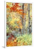 New England Fall Color Impressions-Vincent James-Framed Photographic Print