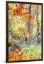 New England Fall Color Impressions-Vincent James-Framed Photographic Print