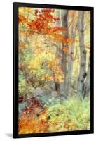 New England Fall Color Impressions-Vincent James-Framed Photographic Print