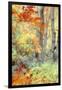 New England Fall Color Impressions-Vincent James-Framed Photographic Print