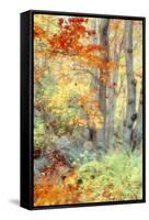 New England Fall Color Impressions-Vincent James-Framed Stretched Canvas