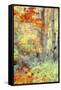 New England Fall Color Impressions-Vincent James-Framed Stretched Canvas