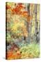 New England Fall Color Impressions-Vincent James-Stretched Canvas