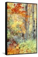 New England Fall Color Impressions-Vincent James-Framed Stretched Canvas