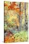 New England Fall Color Impressions-Vincent James-Stretched Canvas