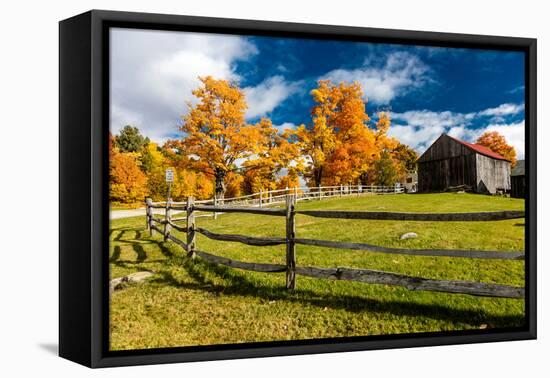 New England farm with Autumn Sugar Maples-null-Framed Stretched Canvas