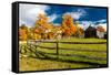 New England farm with Autumn Sugar Maples-null-Framed Stretched Canvas