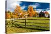 New England farm with Autumn Sugar Maples-null-Stretched Canvas