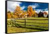 New England farm with Autumn Sugar Maples-null-Framed Stretched Canvas