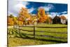 New England farm with Autumn Sugar Maples-null-Stretched Canvas
