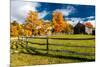 New England farm with Autumn Sugar Maples-null-Mounted Photographic Print