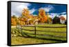 New England farm with Autumn Sugar Maples-null-Framed Stretched Canvas