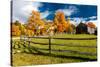 New England farm with Autumn Sugar Maples-null-Stretched Canvas