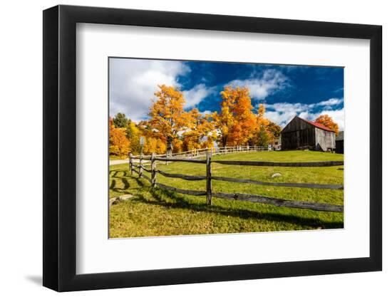 Premium Photographic Print, , large