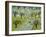 New England Farm-David Sheskin-Framed Giclee Print