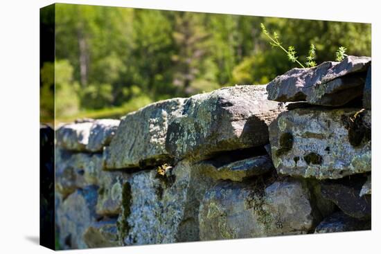 New England Old Stone Wall Photo Print Poster-null-Stretched Canvas