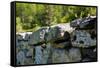 New England Old Stone Wall Photo Print Poster-null-Framed Stretched Canvas