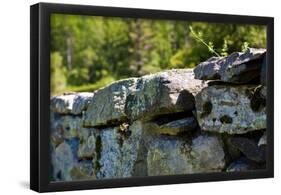 New England Old Stone Wall Photo Print Poster-null-Framed Poster