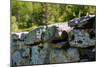 New England Old Stone Wall Photo Print Poster-null-Mounted Poster