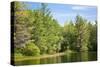 New England Pond Photo Print Poster-null-Stretched Canvas