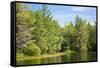 New England Pond Photo Print Poster-null-Framed Stretched Canvas