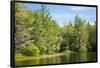 New England Pond Photo Print Poster-null-Framed Poster