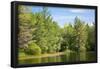 New England Pond Photo Print Poster-null-Framed Poster