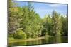 New England Pond Photo Print Poster-null-Mounted Poster