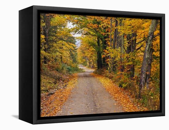 New England Road in Autumn-Darrell Gulin-Framed Stretched Canvas