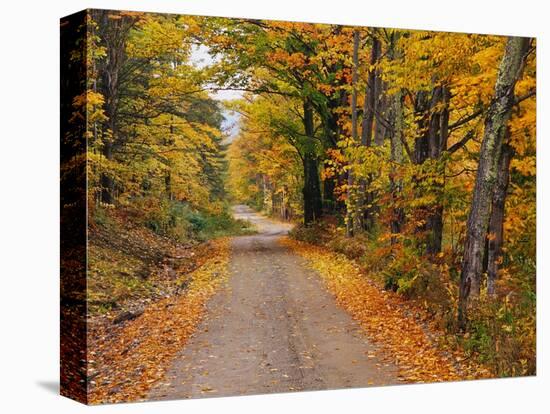 New England Road in Autumn-Darrell Gulin-Stretched Canvas