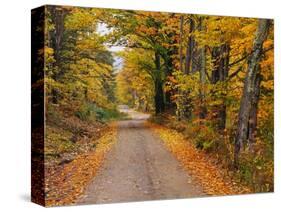 New England Road in Autumn-Darrell Gulin-Stretched Canvas