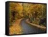 New England Road in Autumn-Darrell Gulin-Framed Stretched Canvas