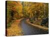 New England Road in Autumn-Darrell Gulin-Stretched Canvas