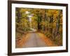 New England Road in Autumn-Darrell Gulin-Framed Photographic Print