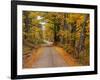 New England Road in Autumn-Darrell Gulin-Framed Photographic Print