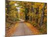 New England Road in Autumn-Darrell Gulin-Mounted Photographic Print