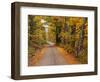 New England Road in Autumn-Darrell Gulin-Framed Photographic Print