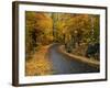 New England Road in Autumn-Darrell Gulin-Framed Photographic Print