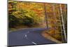 New England Road in Autumn-Darrell Gulin-Mounted Photographic Print