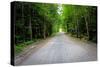 New England Road Photo Print Poster-null-Stretched Canvas