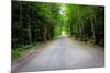 New England Road Photo Print Poster-null-Mounted Poster