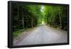 New England Road Photo Print Poster-null-Framed Poster