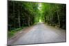 New England Road Photo Print Poster-null-Mounted Poster