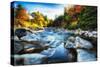 New England Rocky Creek-George Oze-Stretched Canvas