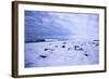 New Experiences-Kimberly Glover-Framed Giclee Print
