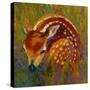 New Fawn-Marion Rose-Stretched Canvas