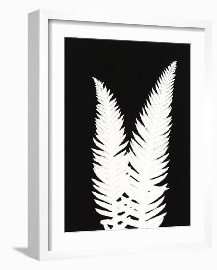 New Fern 9-Mary Margaret Briggs-Framed Giclee Print